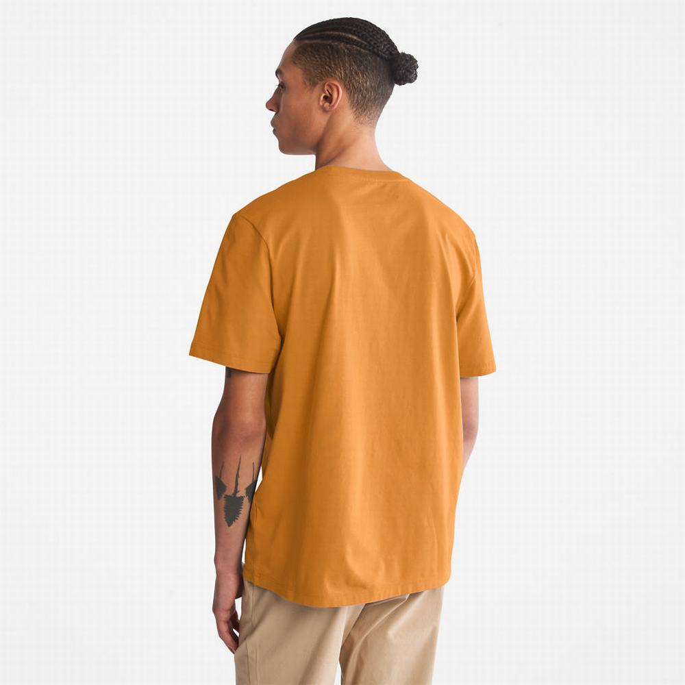 Timberland Kennebec River Tree Logo Tişört Erkek Sarı | TR-4036R