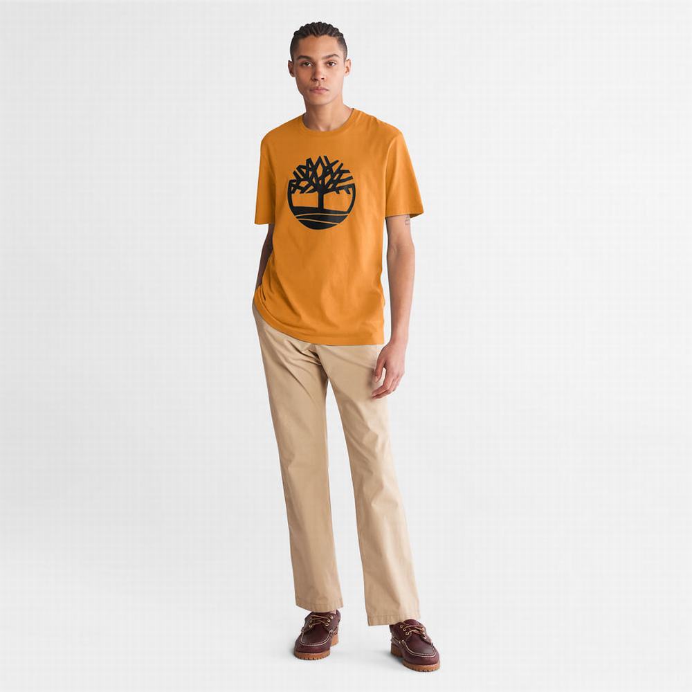 Timberland Kennebec River Tree Logo Tişört Erkek Sarı | TR-4036R