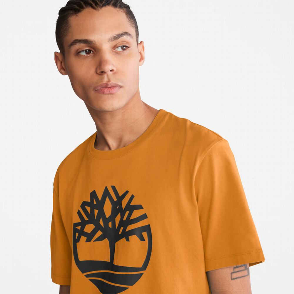 Timberland Kennebec River Tree Logo Tişört Erkek Sarı | TR-4036R