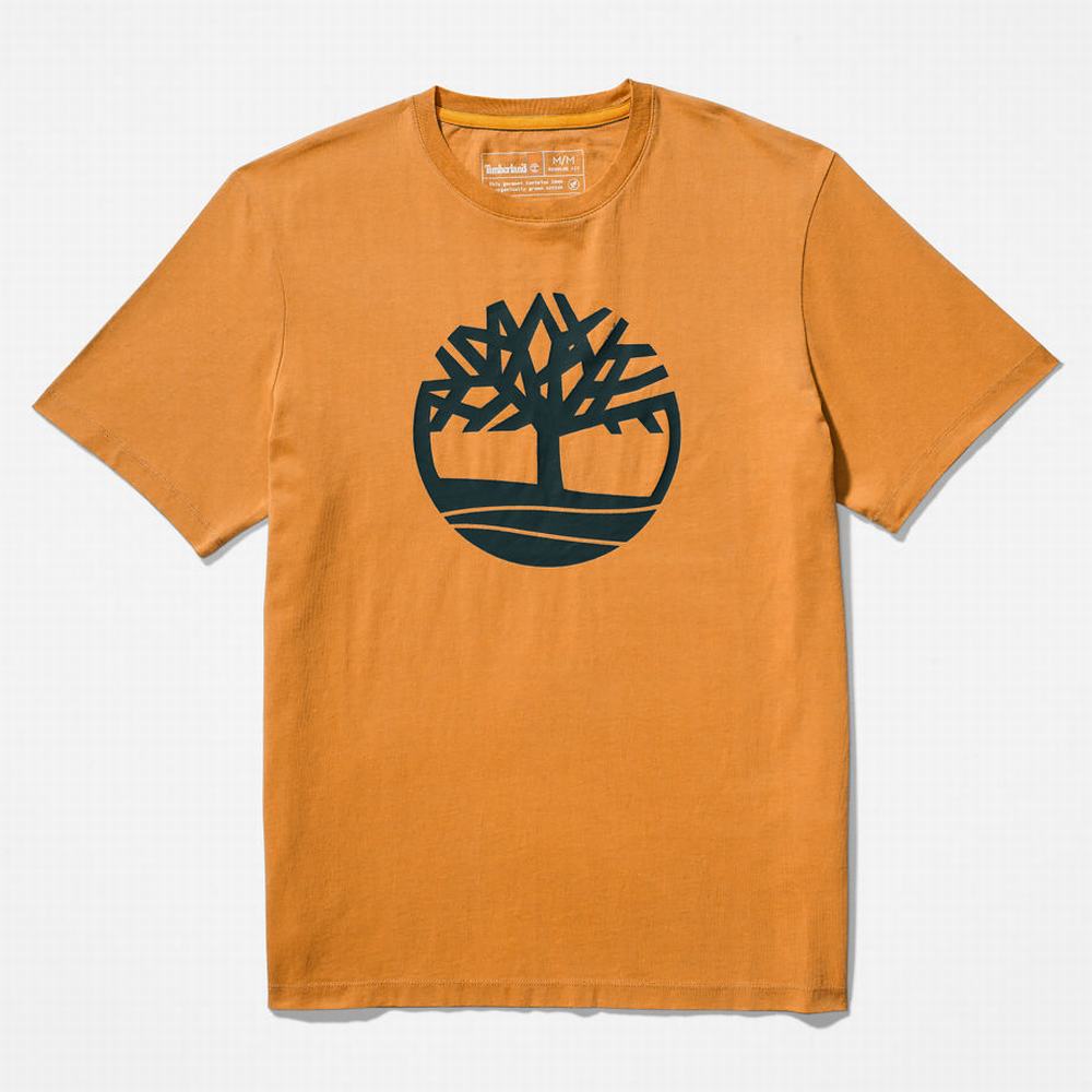Timberland Kennebec River Tree Logo Tişört Erkek Sarı | TR-4036R