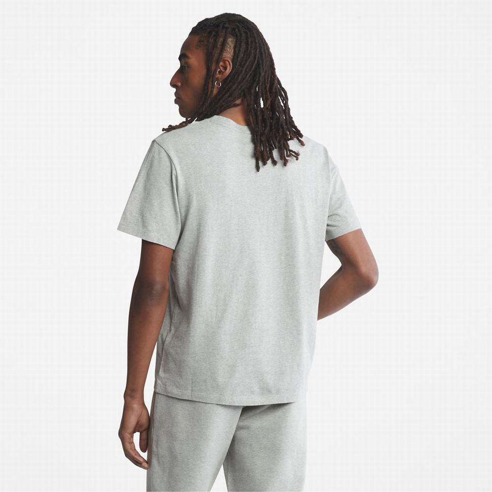Timberland Kennebec River Tree Logo Tişört Erkek Gri | TR-4367W