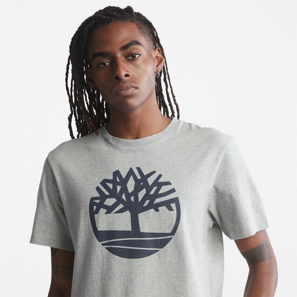Timberland Kennebec River Tree Logo Tişört Erkek Gri | TR-4367W