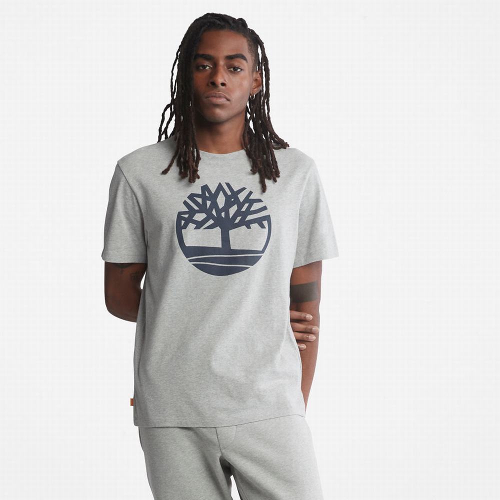 Timberland Kennebec River Tree Logo Tişört Erkek Gri | TR-4367W