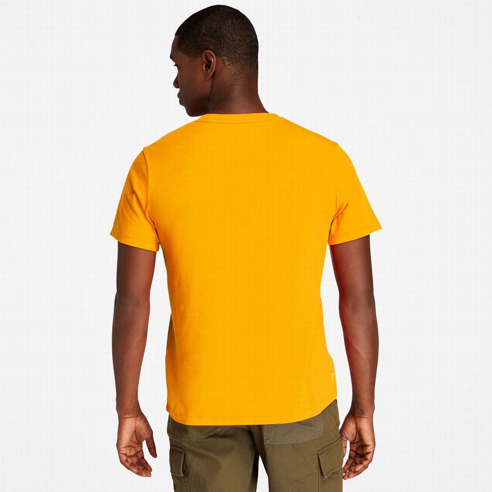 Timberland Kennebec River Tree Logo Tişört Erkek Turuncu | TR-4516Q