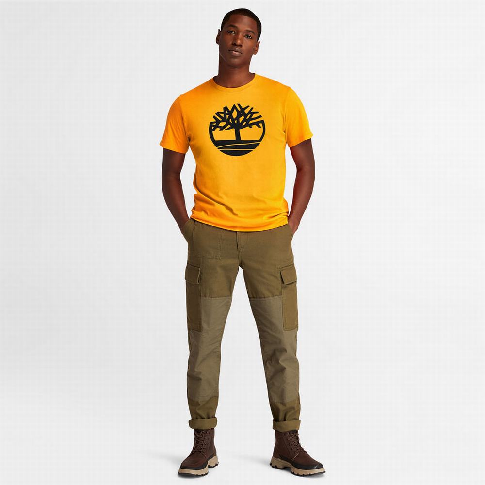 Timberland Kennebec River Tree Logo Tişört Erkek Turuncu | TR-4516Q
