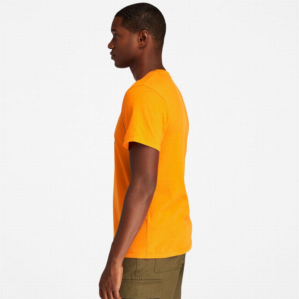 Timberland Kennebec River Tree Logo Tişört Erkek Turuncu | TR-4516Q