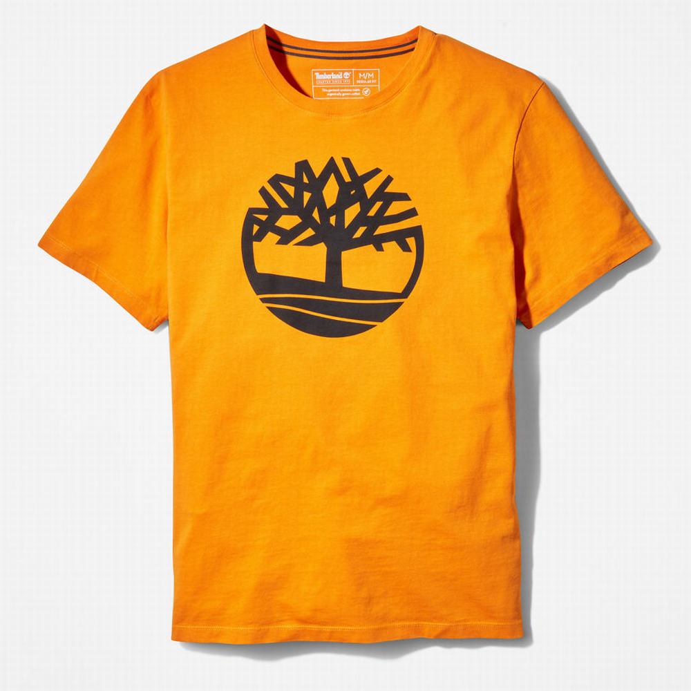 Timberland Kennebec River Tree Logo Tişört Erkek Turuncu | TR-4516Q