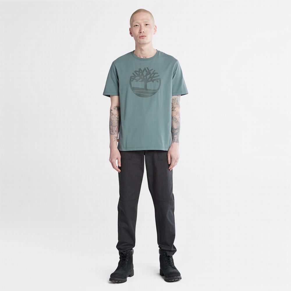 Timberland Kennebec River Tree-logo Tişört Erkek Yeşil | TR-9034M