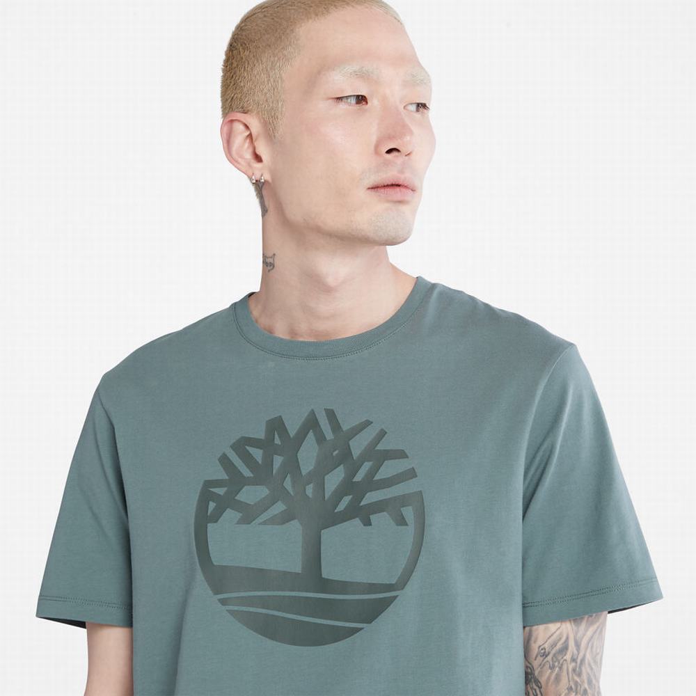 Timberland Kennebec River Tree-logo Tişört Erkek Yeşil | TR-9034M