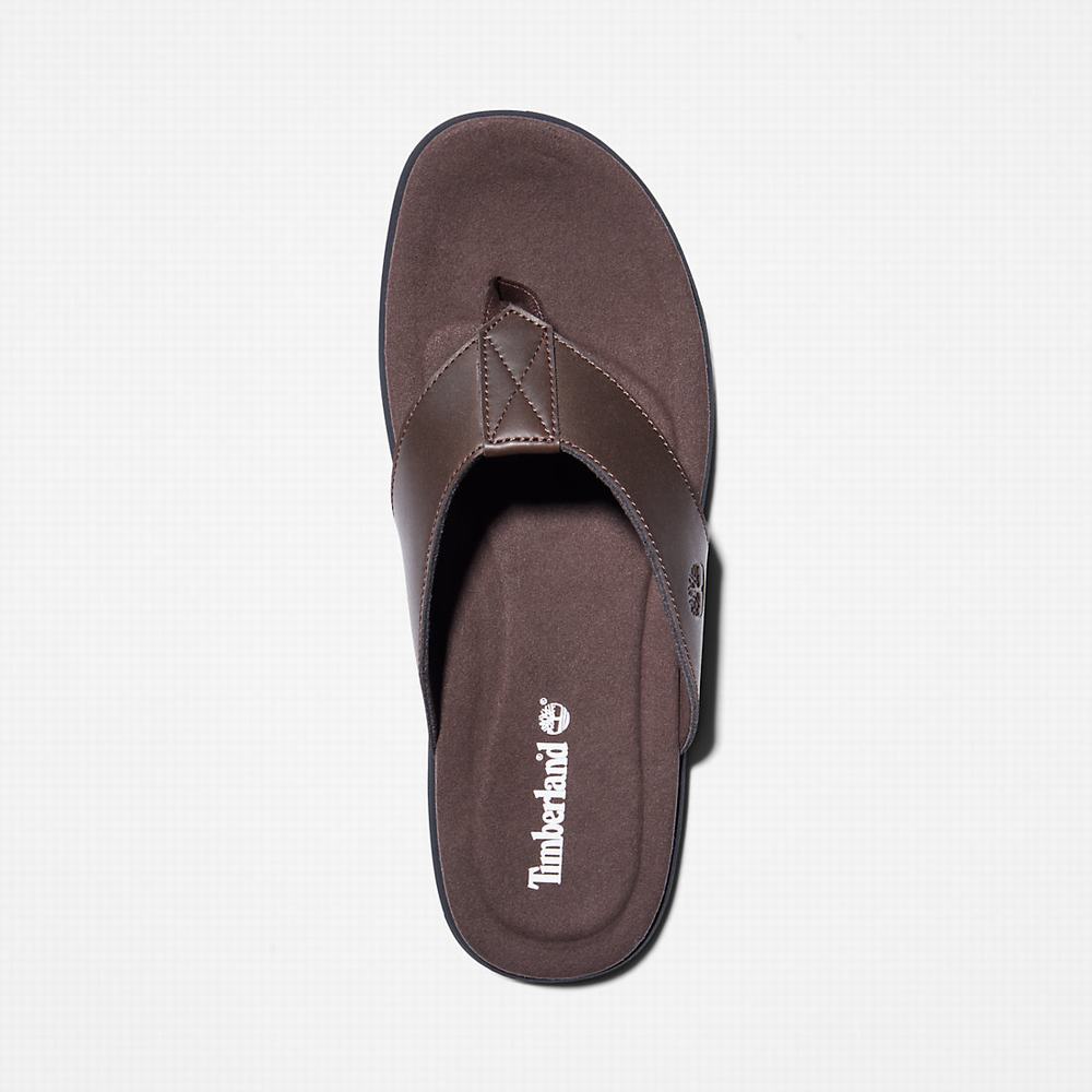 Timberland Kesler Cove Burunlu-bar Sandalet Erkek Koyu Kahverengi | TR-4208G