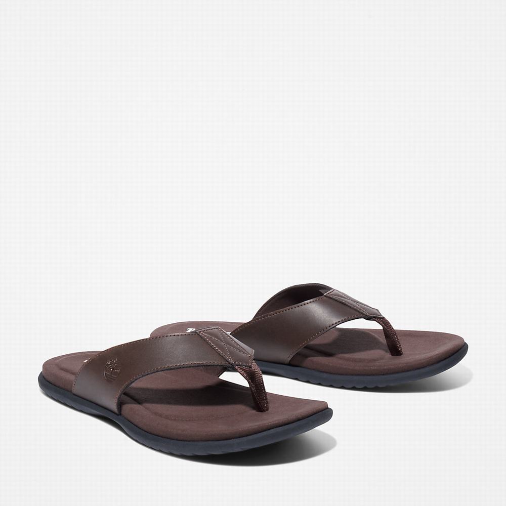 Timberland Kesler Cove Burunlu-bar Sandalet Erkek Koyu Kahverengi | TR-4208G