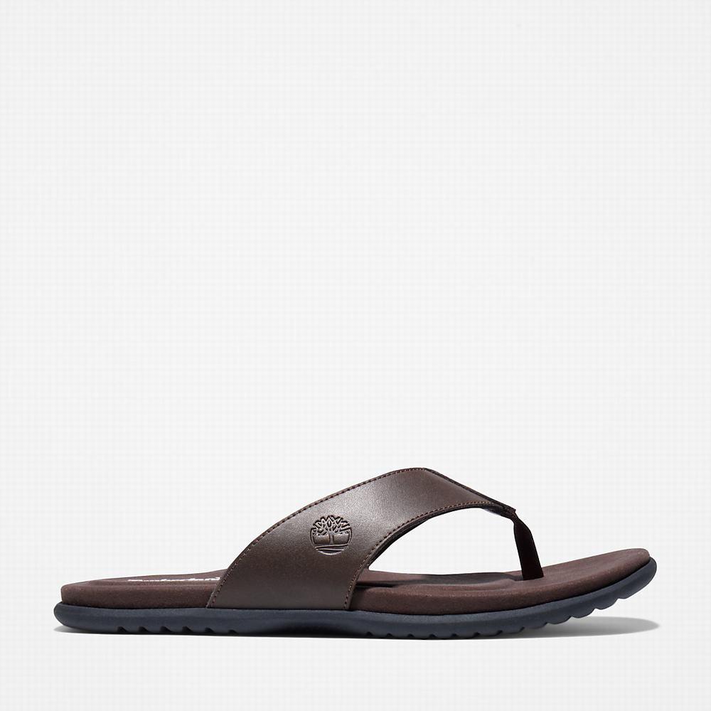 Timberland Kesler Cove Burunlu-bar Sandalet Erkek Koyu Kahverengi | TR-4208G