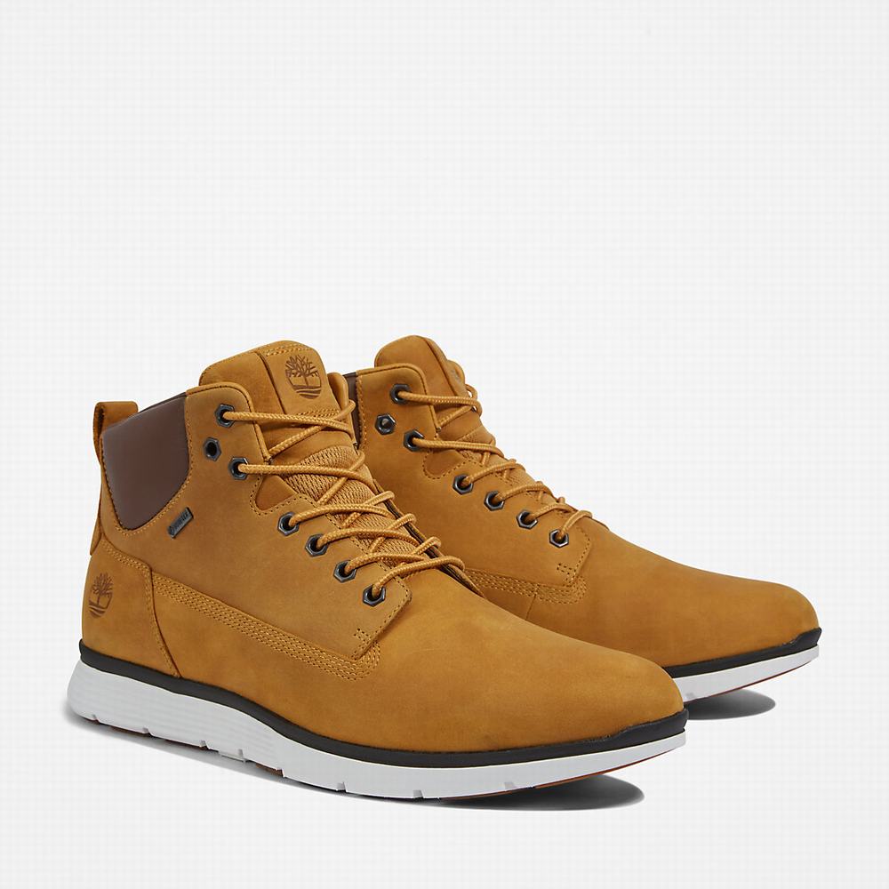 Timberland Killington Gore-Tex® Chukka Bot Erkek Sarı | TR-4160Q