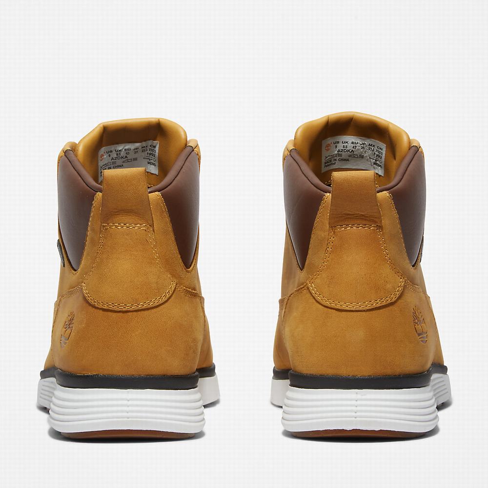 Timberland Killington Gore-Tex® Chukka Bot Erkek Sarı | TR-4160Q