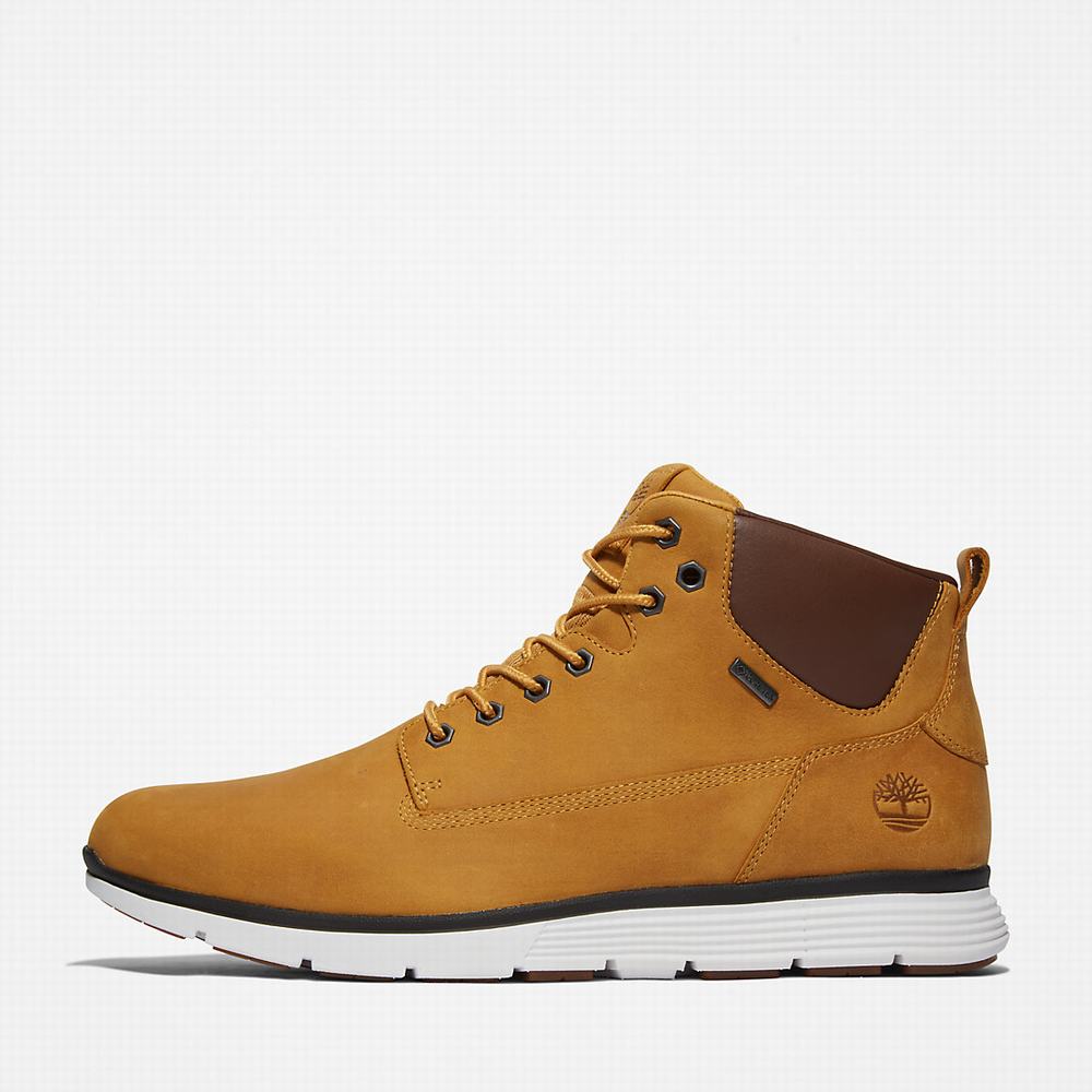 Timberland Killington Gore-Tex® Chukka Bot Erkek Sarı | TR-4160Q