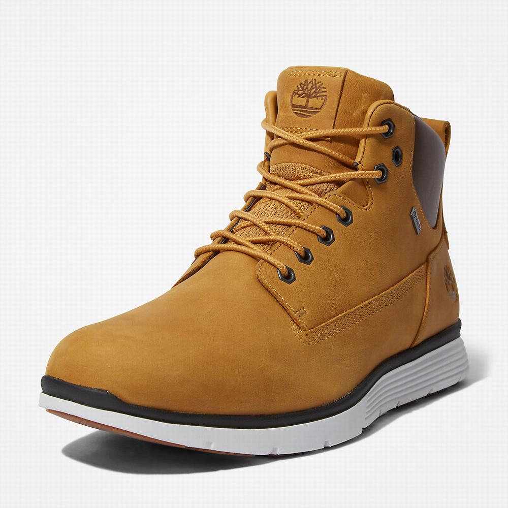 Timberland Killington Gore-Tex® Chukka Bot Erkek Sarı | TR-4160Q