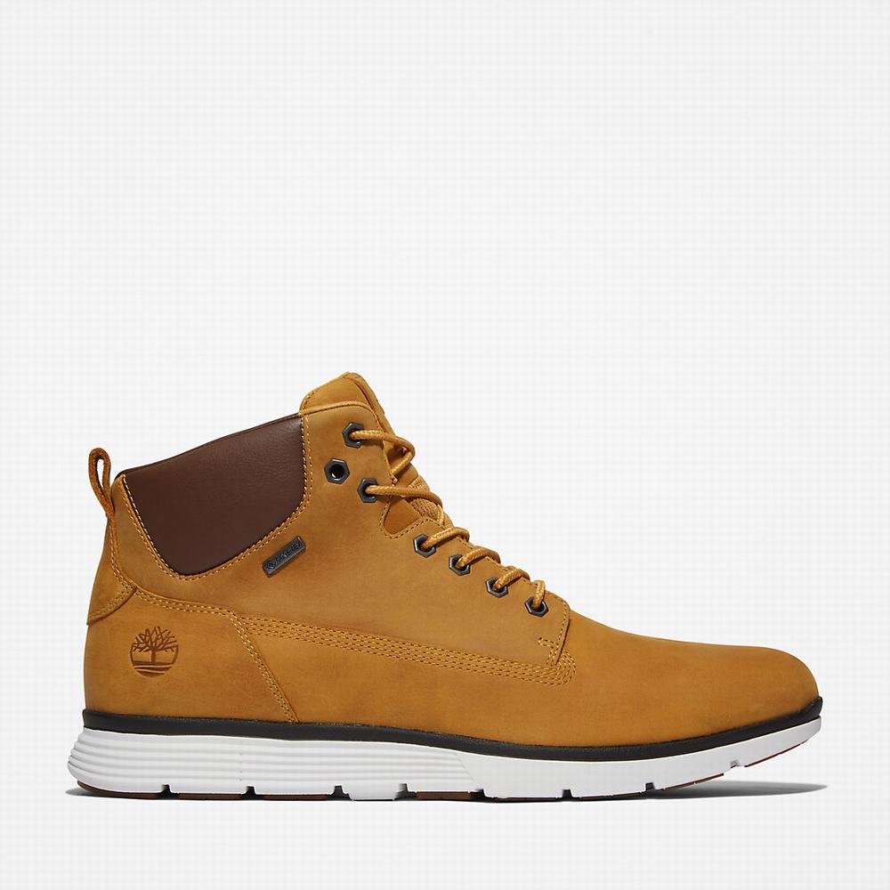 Timberland Killington Gore-Tex® Chukka Bot Erkek Sarı | TR-4160Q