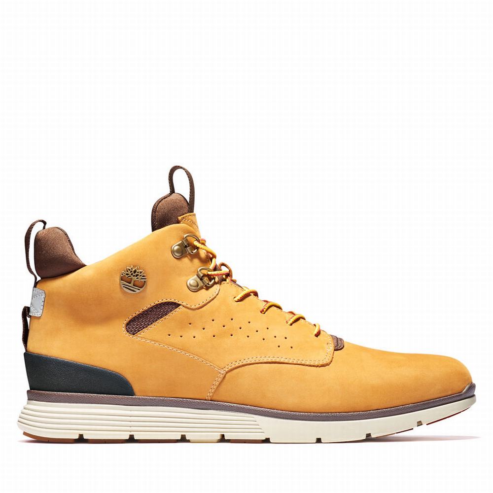 Timberland Killington Mid Hiker Yürüyüş Ayakkabısı Erkek Sarı | TR-6817V