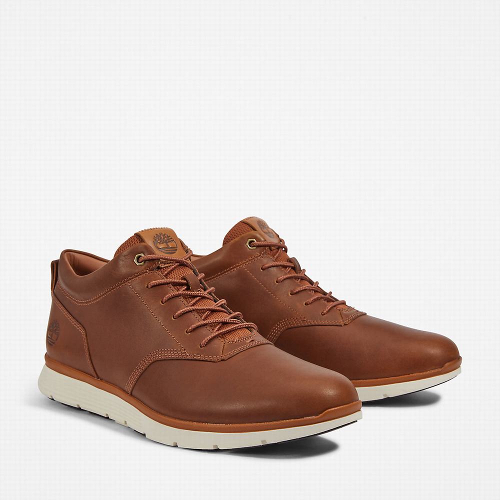 Timberland Killington Oxford Chukka Bot Erkek Kahverengi | TR-7259C