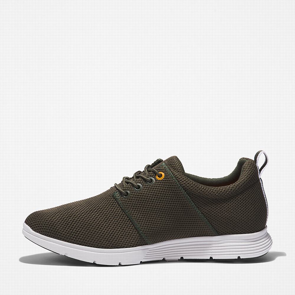 Timberland Killington Oxford Shoe Spor Ayakkabı Erkek Koyu Yeşil | TR-1789N