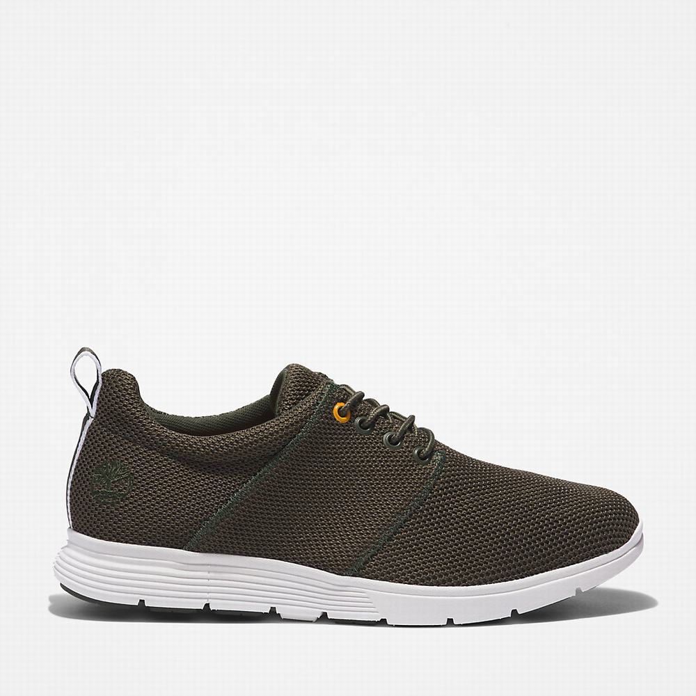 Timberland Killington Oxford Shoe Spor Ayakkabı Erkek Koyu Yeşil | TR-1789N