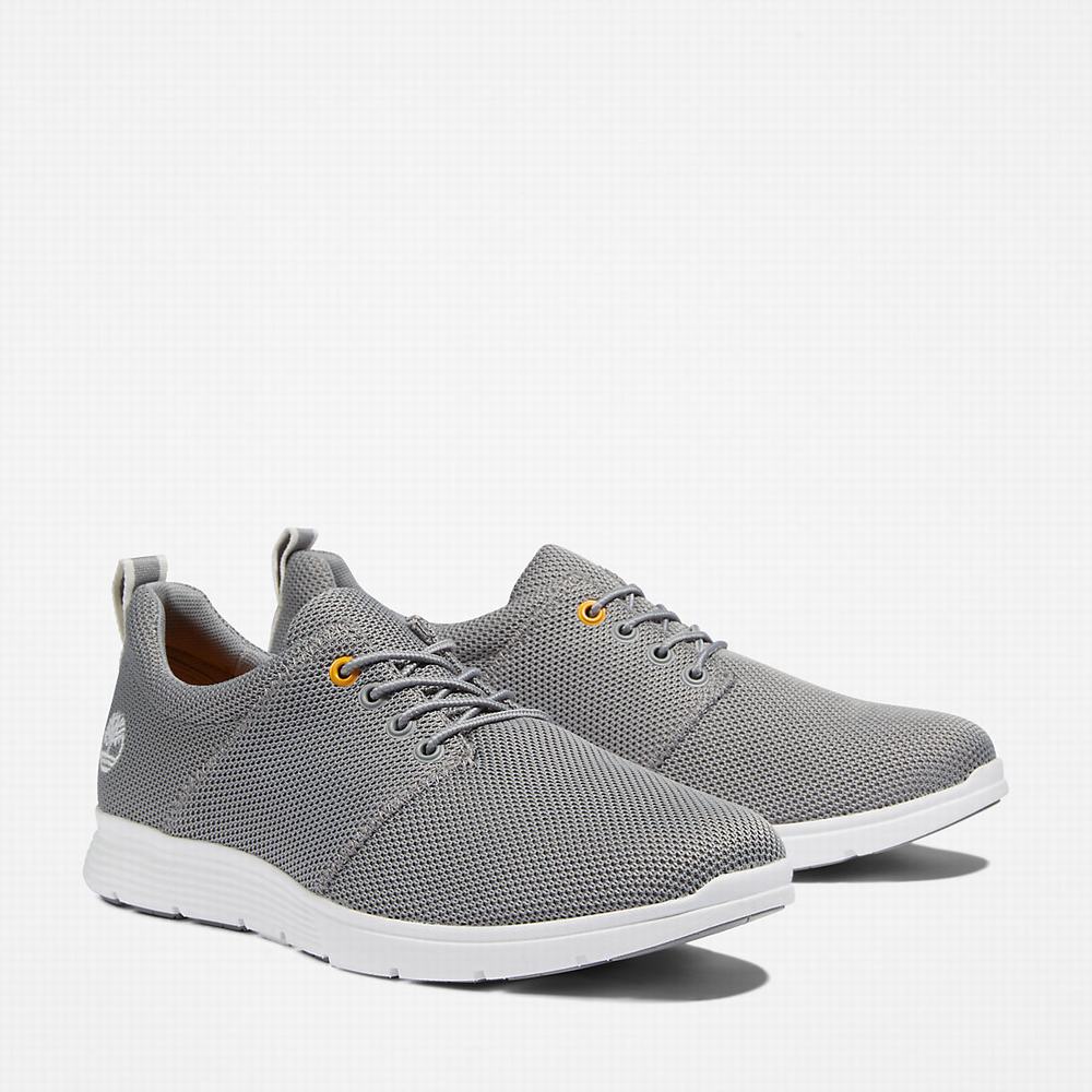 Timberland Killington Oxford Shoe Spor Ayakkabı Erkek Gri | TR-4539M