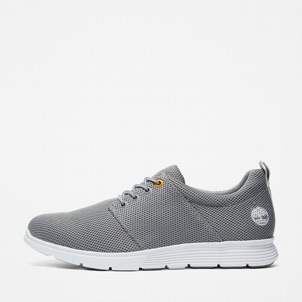 Timberland Killington Oxford Shoe Spor Ayakkabı Erkek Gri | TR-4539M