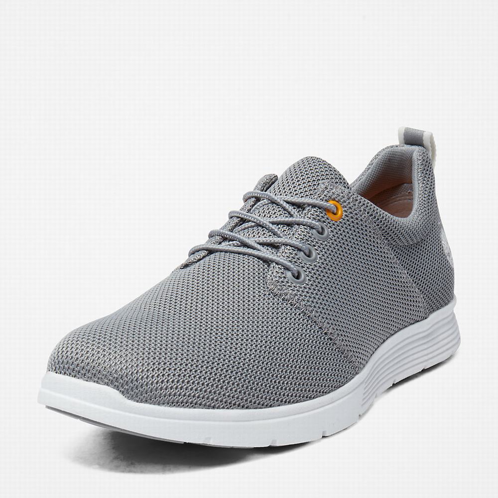 Timberland Killington Oxford Shoe Spor Ayakkabı Erkek Gri | TR-4539M