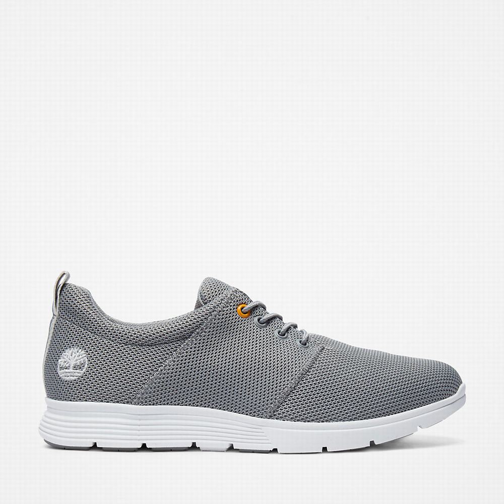 Timberland Killington Oxford Shoe Spor Ayakkabı Erkek Gri | TR-4539M