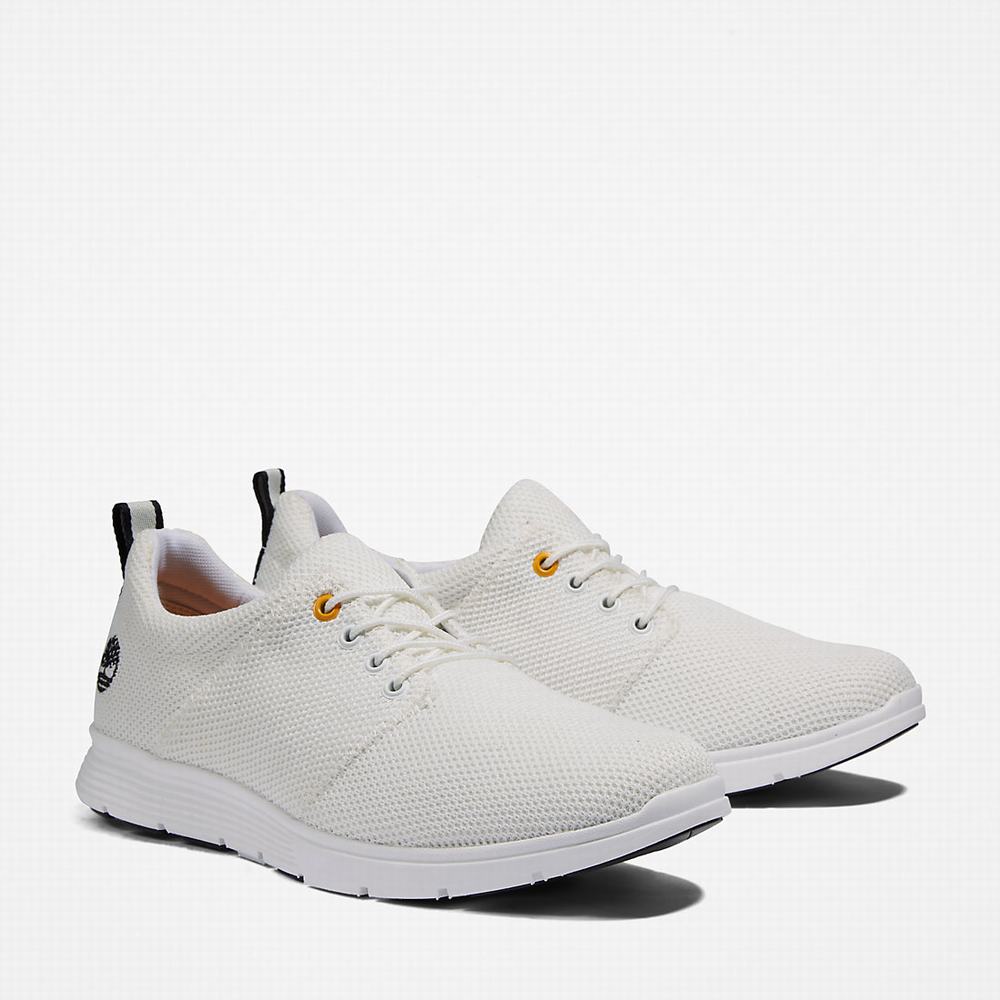 Timberland Killington Oxford Shoe Spor Ayakkabı Erkek Beyaz | TR-8704Q