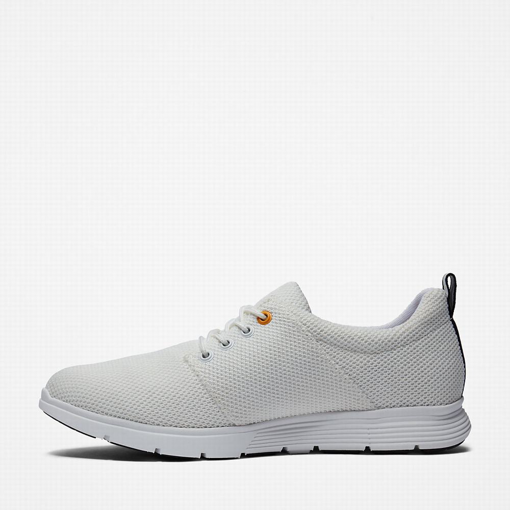 Timberland Killington Oxford Shoe Spor Ayakkabı Erkek Beyaz | TR-8704Q