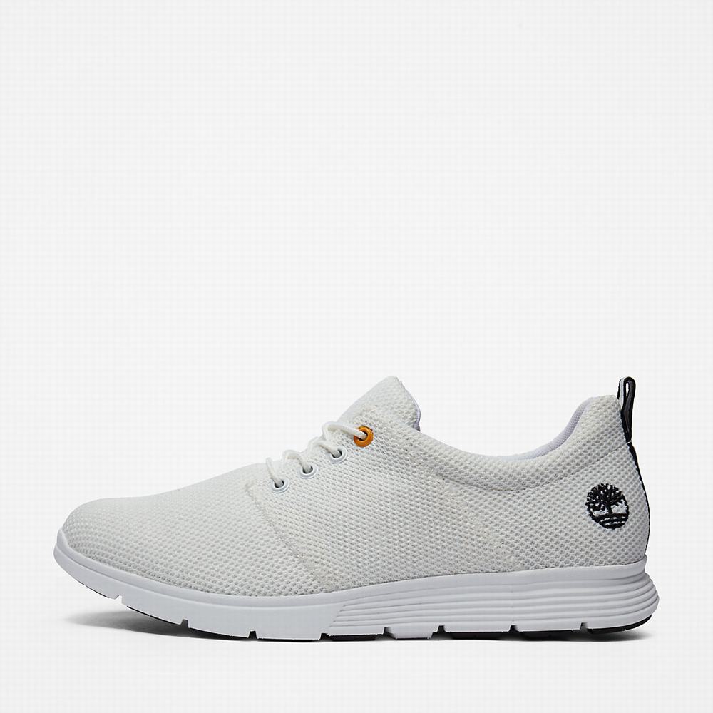 Timberland Killington Oxford Shoe Spor Ayakkabı Erkek Beyaz | TR-8704Q