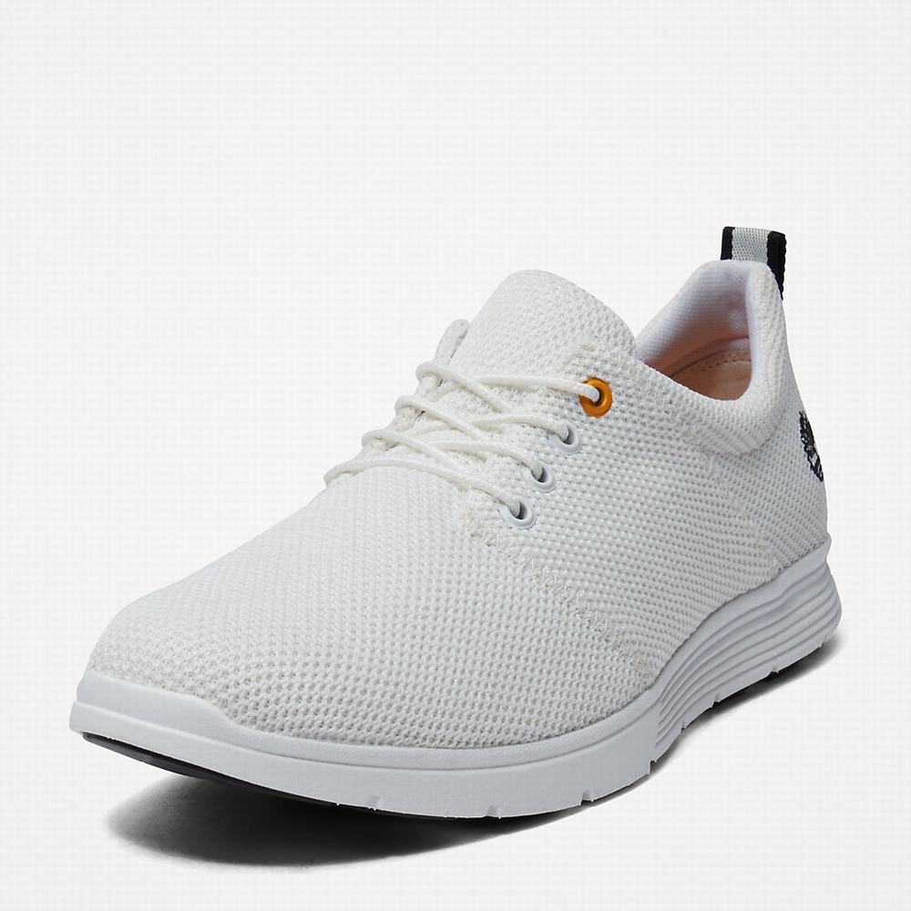 Timberland Killington Oxford Shoe Spor Ayakkabı Erkek Beyaz | TR-8704Q