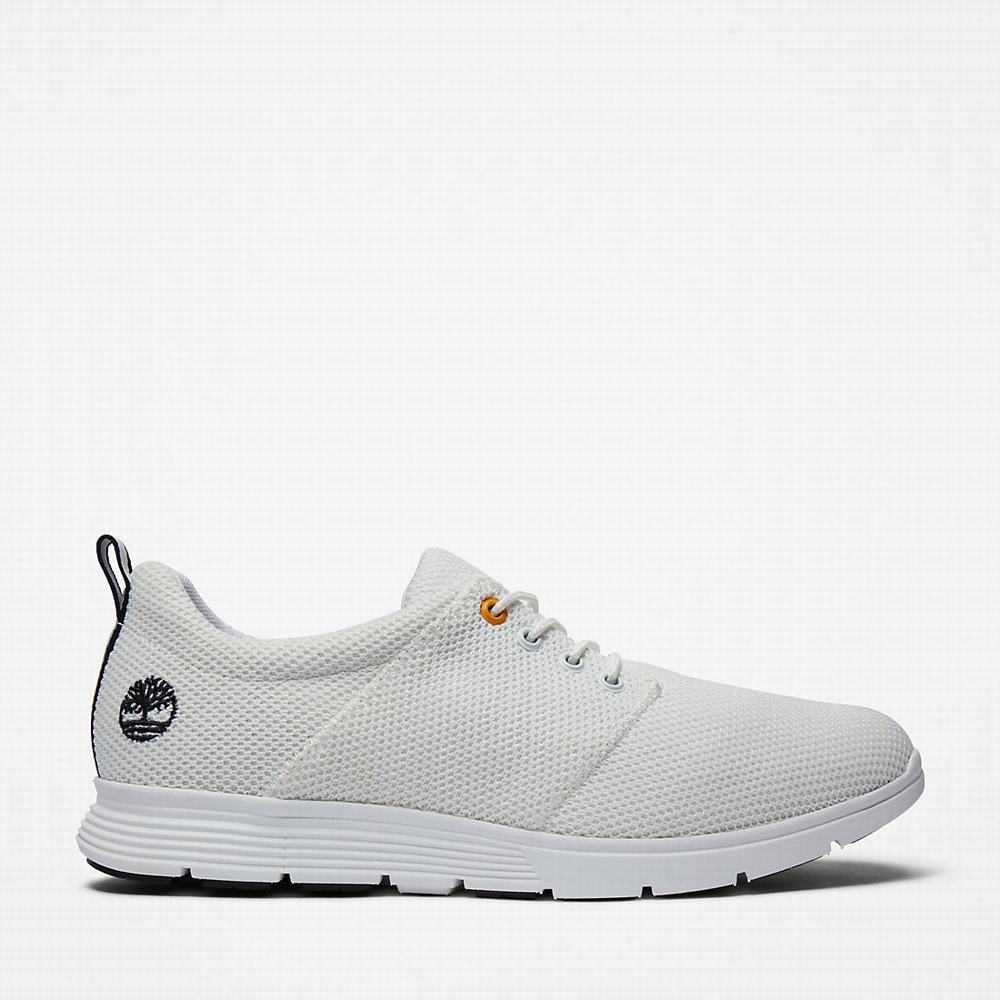 Timberland Killington Oxford Shoe Spor Ayakkabı Erkek Beyaz | TR-8704Q