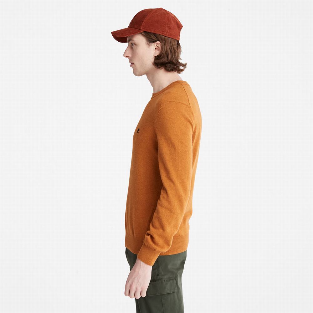 Timberland Knox River Kazak Erkek Sarı | TR-5074T
