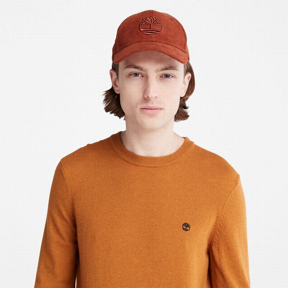 Timberland Knox River Kazak Erkek Sarı | TR-5074T