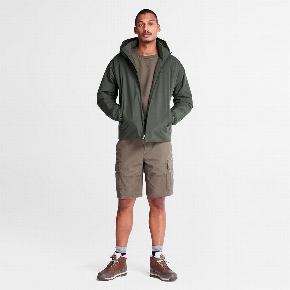 Timberland Light Insulated Ceket Erkek Koyu Yeşil | TR-6092L