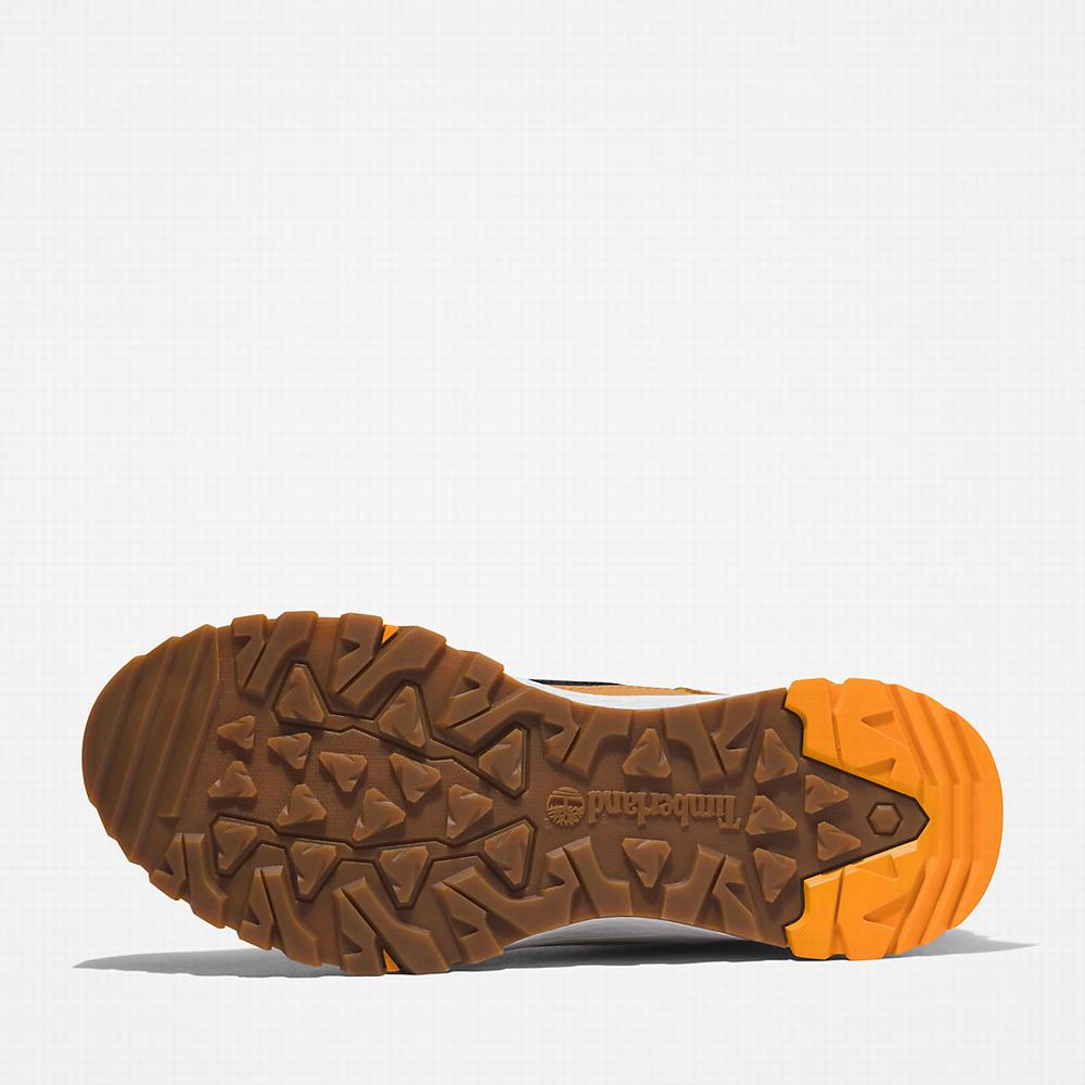 Timberland Lincoln Peak Gore-Tex® Yürüyüş Botu Erkek Açık Kahverengi | TR-3286X