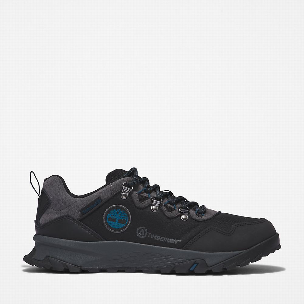Timberland Lincoln Peak Spor Ayakkabı Erkek Siyah | TR-1907G