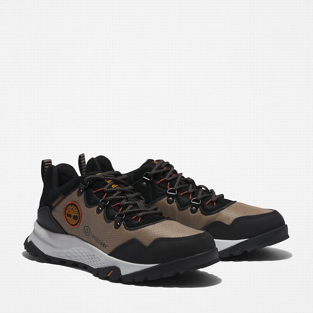 Timberland Lincoln Peak Spor Ayakkabı Erkek Gri | TR-9417H