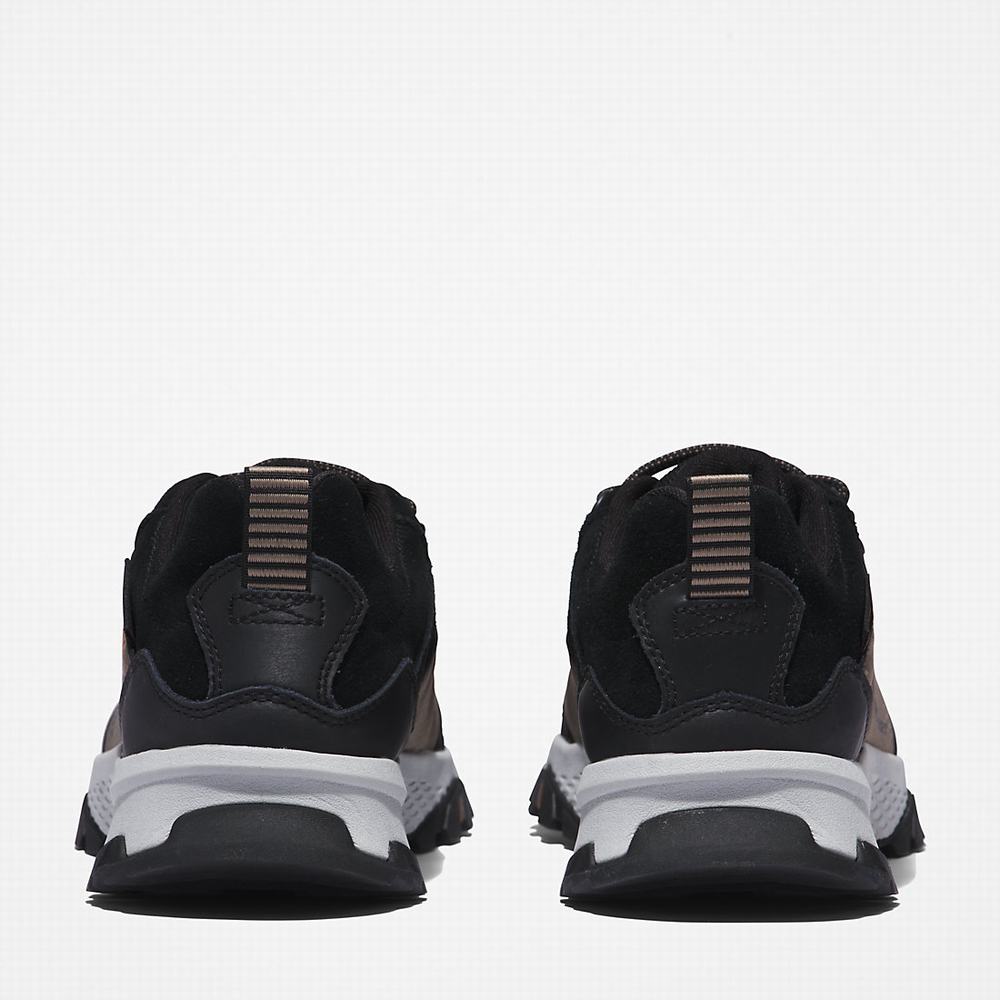 Timberland Lincoln Peak Spor Ayakkabı Erkek Gri | TR-9417H