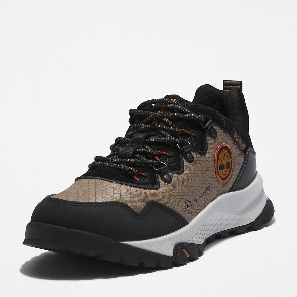 Timberland Lincoln Peak Spor Ayakkabı Erkek Gri | TR-9417H