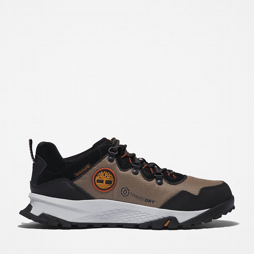Timberland Lincoln Peak Spor Ayakkabı Erkek Gri | TR-9417H