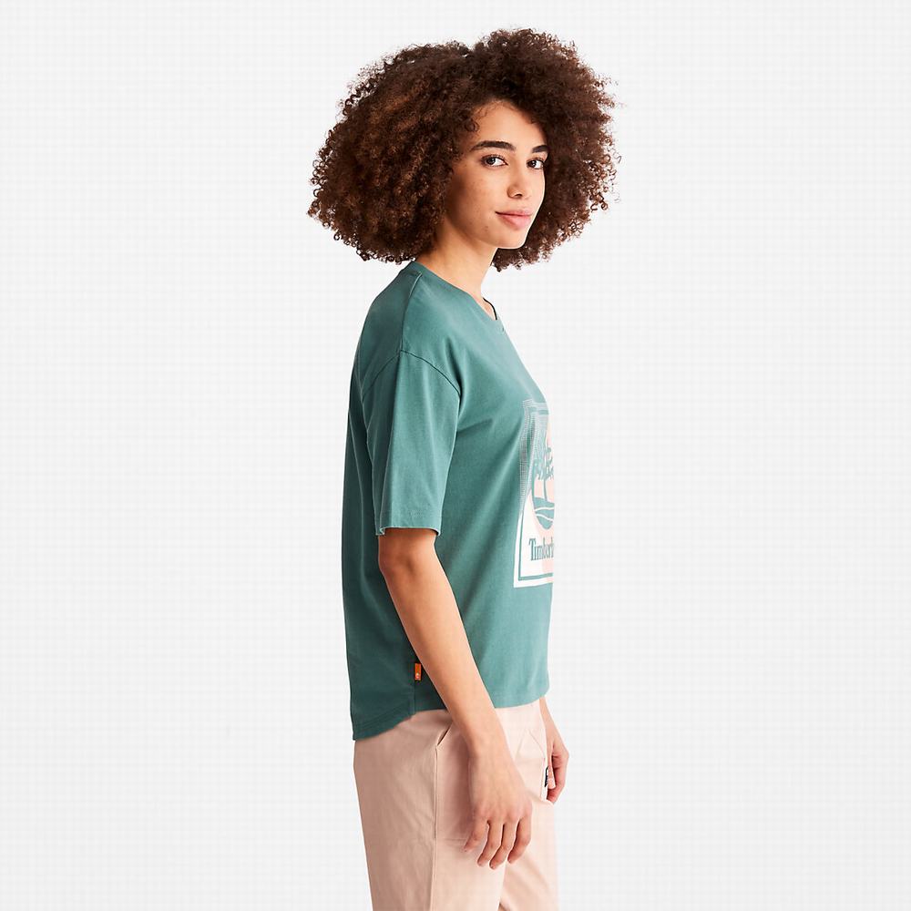 Timberland Logo Graphic Tişört Kadın Turkuaz | TR-8371C