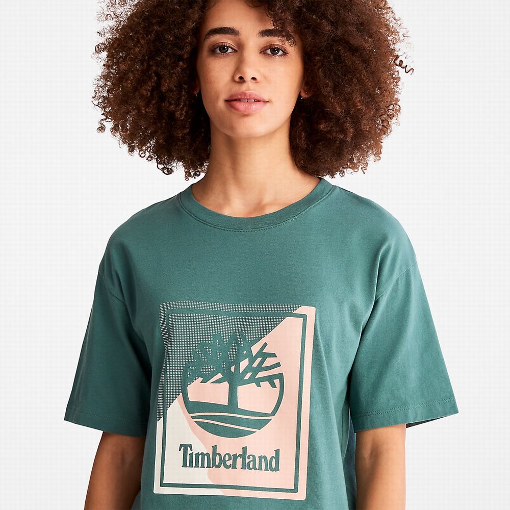 Timberland Logo Graphic Tişört Kadın Turkuaz | TR-8371C
