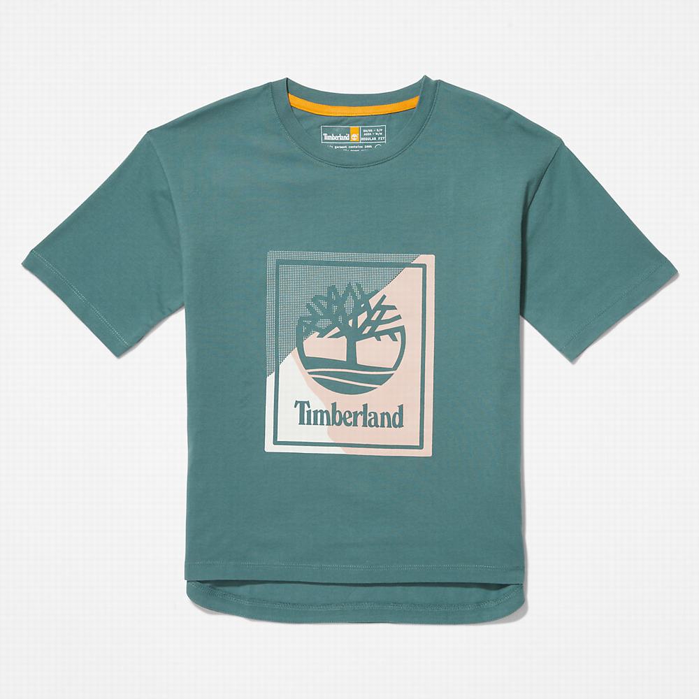 Timberland Logo Graphic Tişört Kadın Turkuaz | TR-8371C
