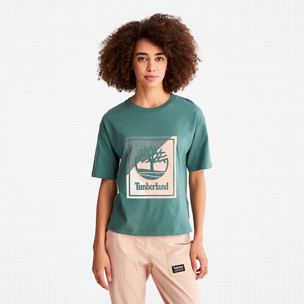 Timberland Logo Graphic Tişört Kadın Turkuaz | TR-8371C