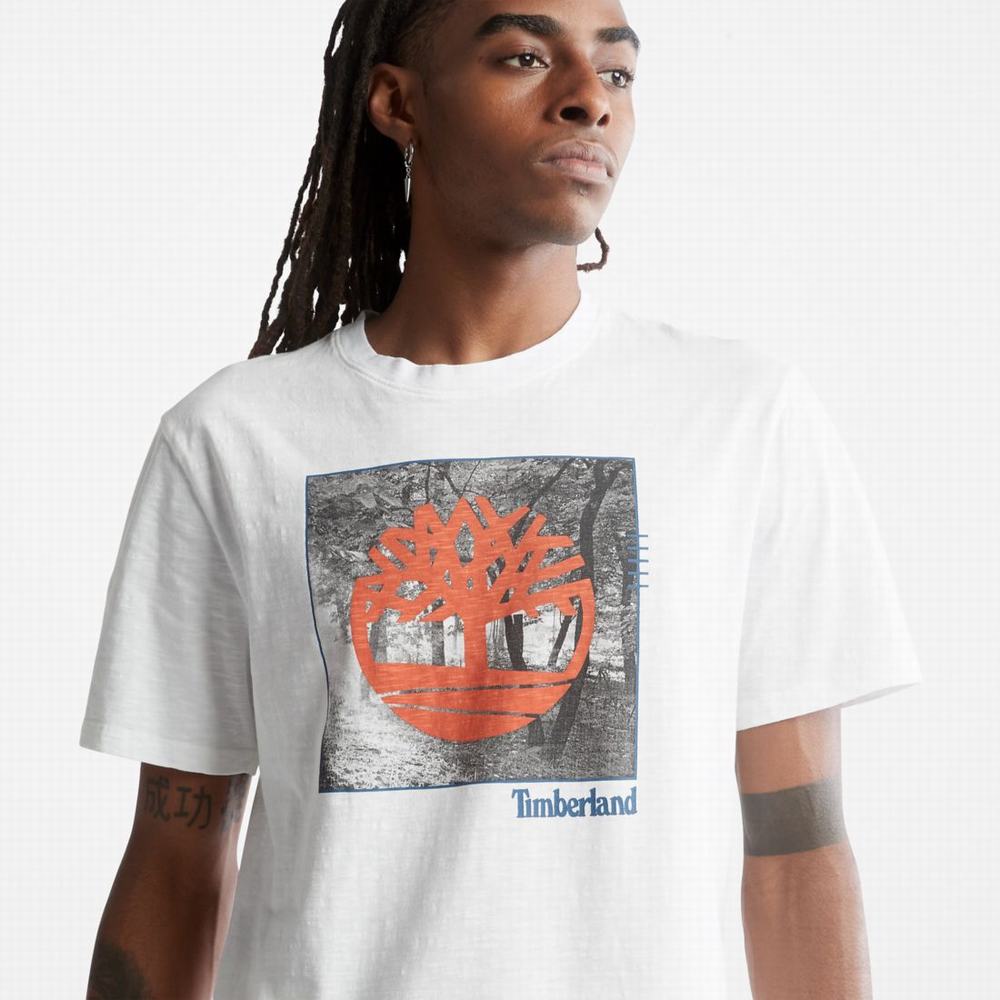 Timberland Logo Slub Tişört Erkek Beyaz | TR-0214L