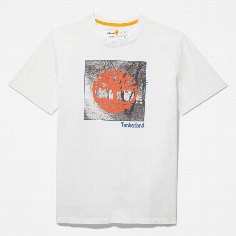 Timberland Logo Slub Tişört Erkek Beyaz | TR-0214L