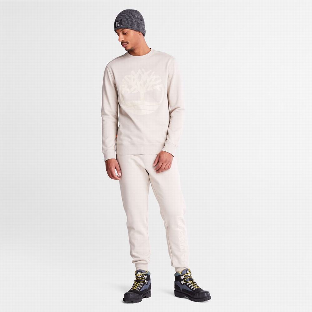 Timberland Logo Sweatpants Pantolon Erkek Taupe | TR-8941D